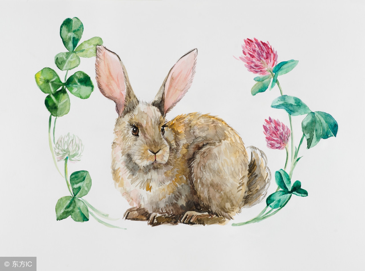 12生肖2018年底运势,12生肖2019年运势抢先看