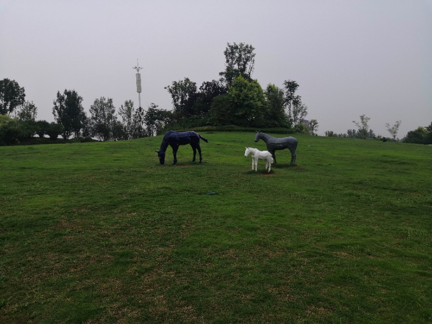 淮安足球场夜场,足球场夜场图片