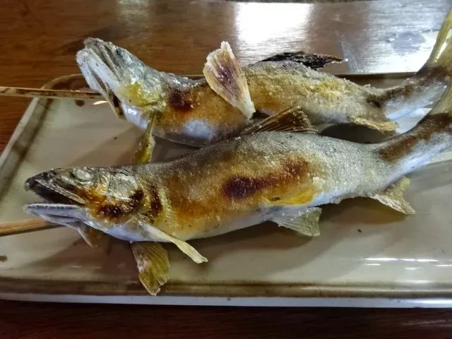 世界十大凶猛淡水鱼类,顶级淡水鱼类