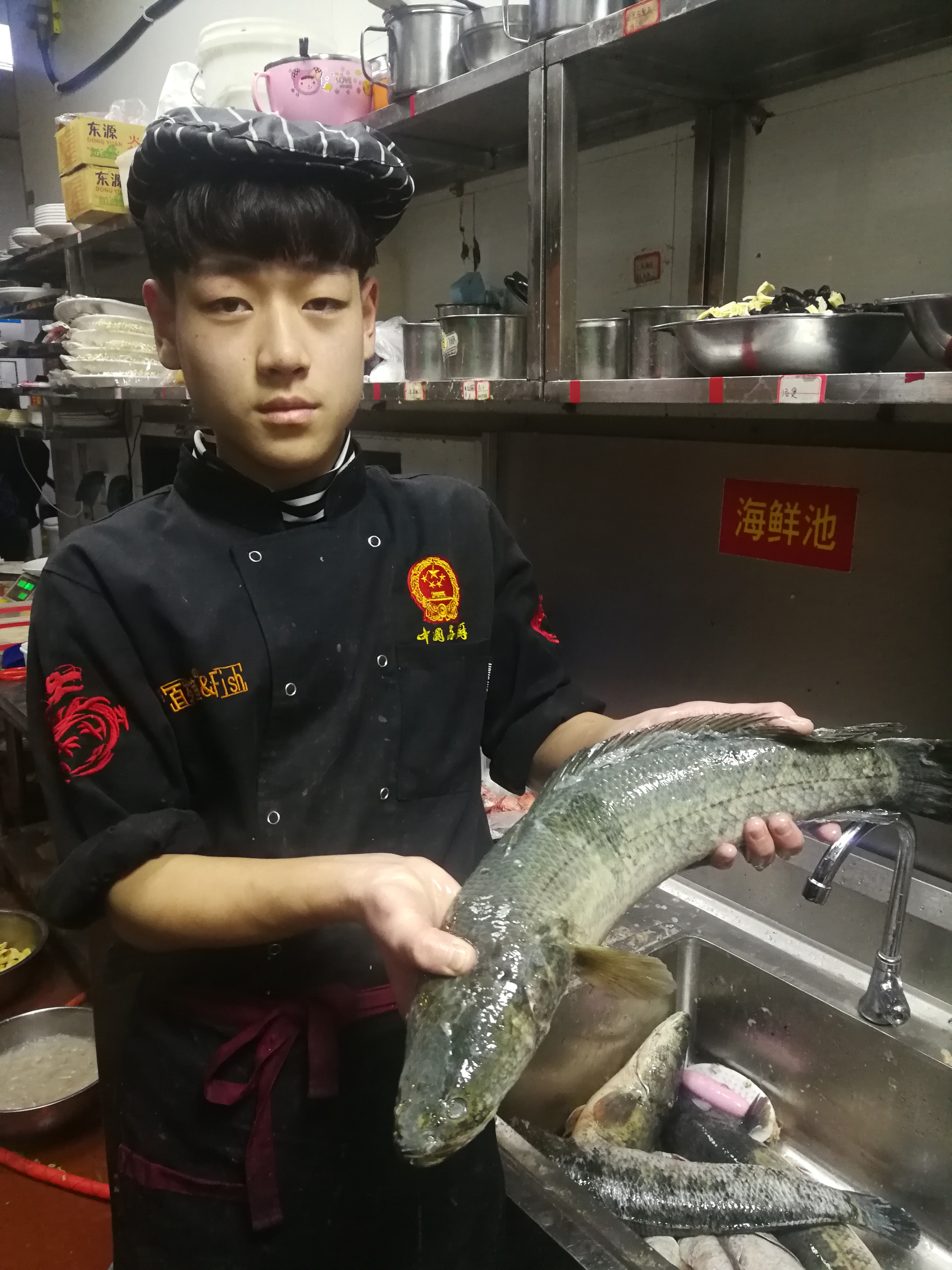 舌尖上的美味鱼肉,舌尖上的美味鮟鱇鱼