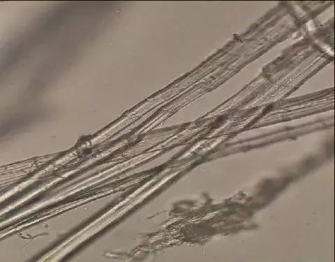 纺织纤维与面料分析介绍,天然纤维面料基础知识大全