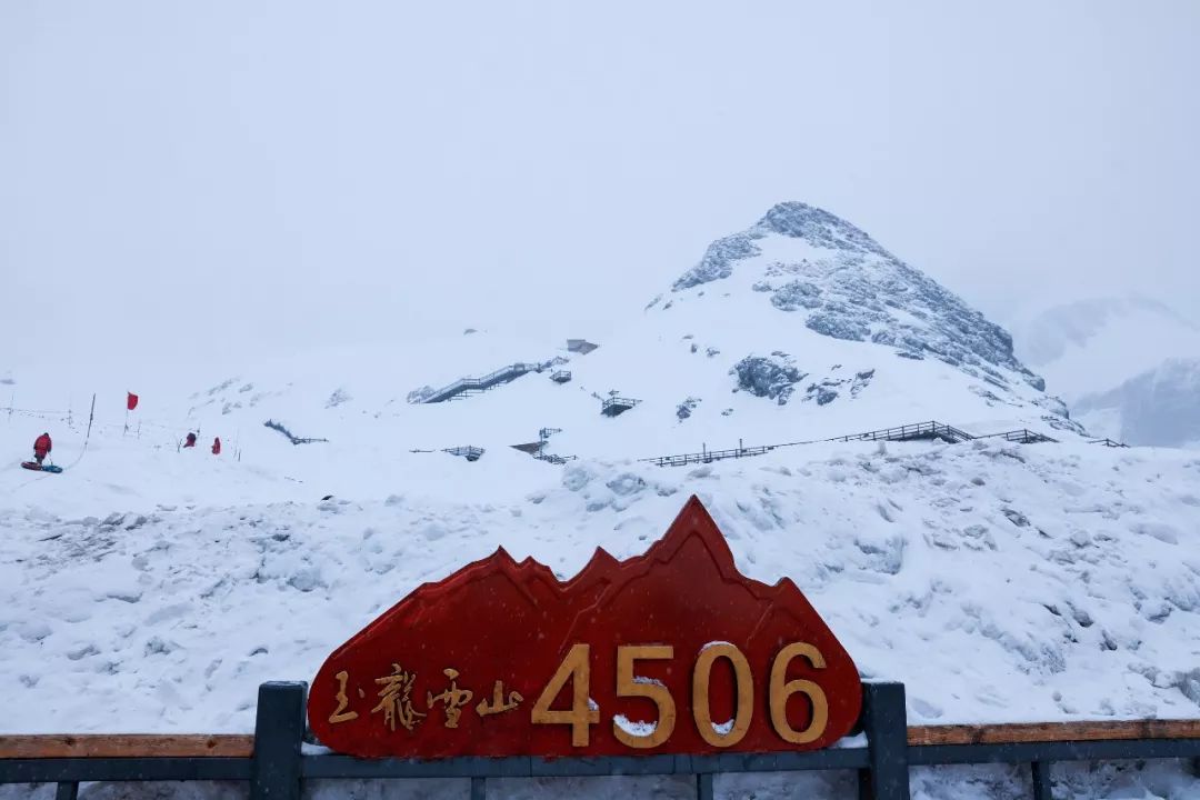谁毁了丽江的印象？小镇“挂羊头卖狗肉”，雪山附近酒楼一天几千