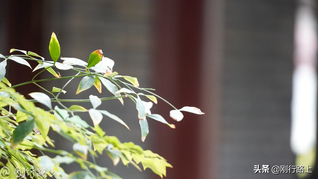 这个假期去哪玩会好一些,来禅泉酒店体验慢生活