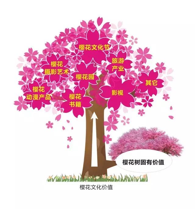 一棵樱桃树净赚多少钱,一棵樱桃树的收益