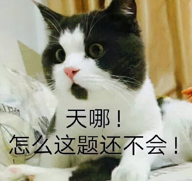 1000题刷完,1000题刷完能拿多少分