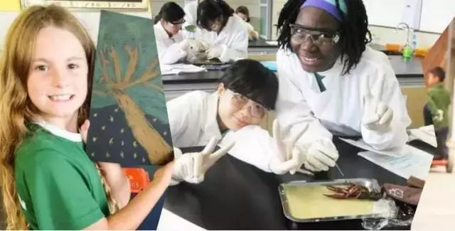 武汉最难进的9所高中,武汉最难进的学校