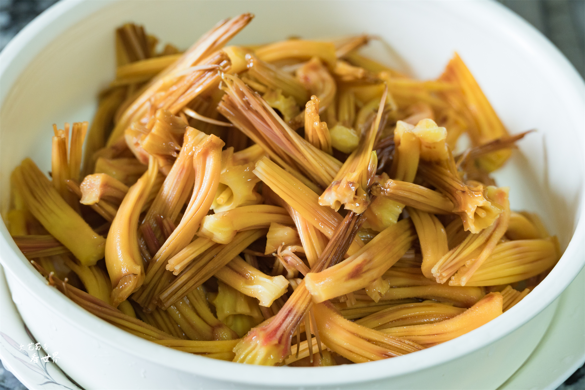 北海和攀枝花哪个适合过冬,去攀枝花过冬