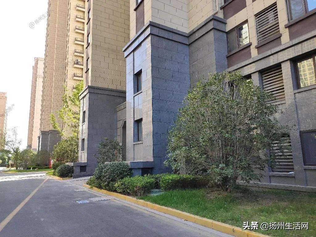 实探烂尾楼,实探被曝光