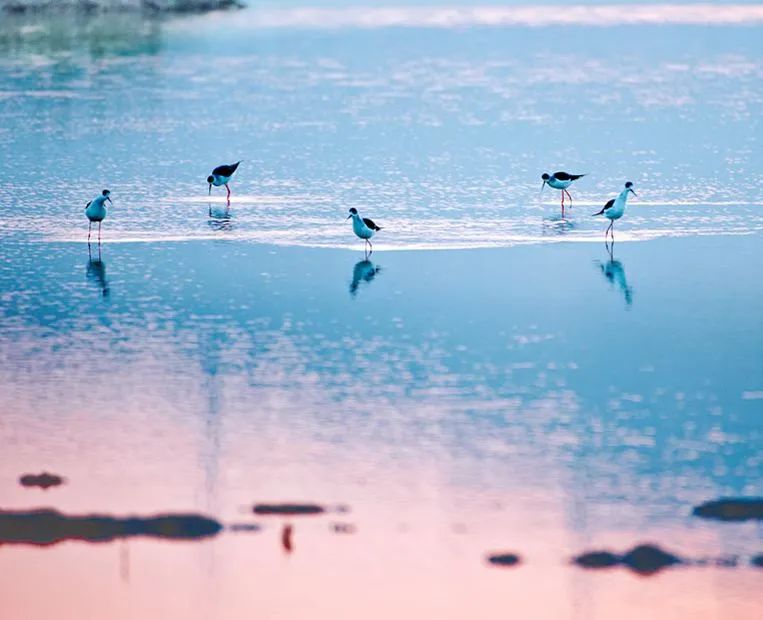 上海附近的小岛攻略,上海附近的海岛旅行攻略