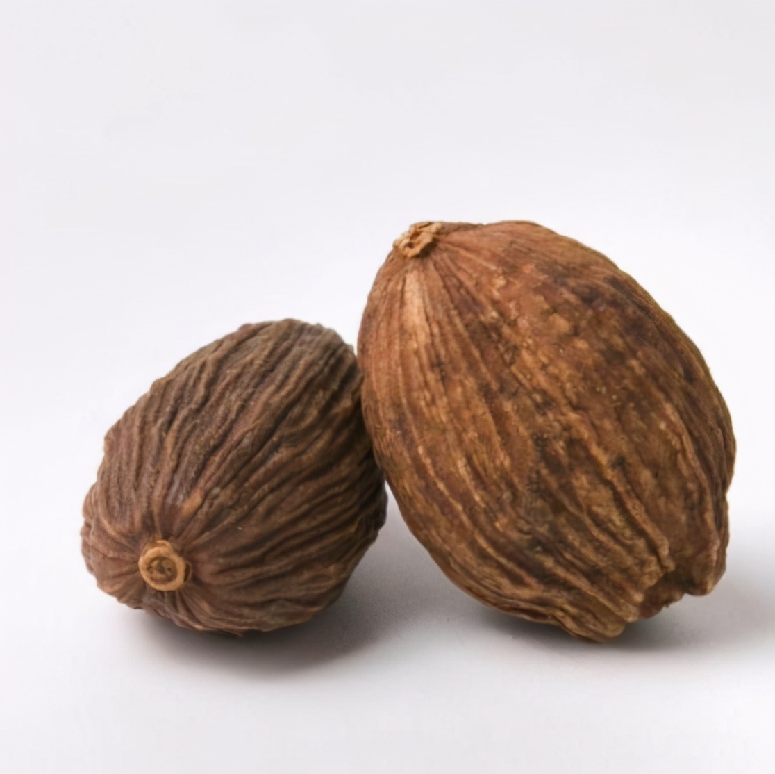 狗肉好吃汤又好喝的做法,狗肉煲的独特美味做法与搭配秘籍