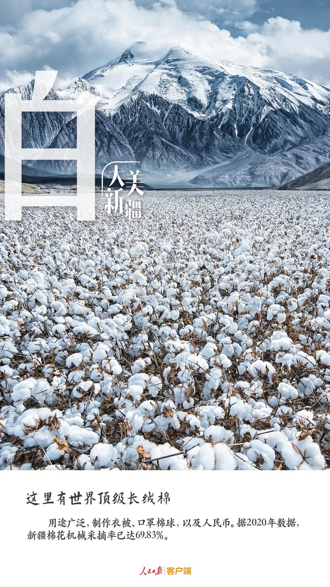 给你点颜色看看俄罗斯语,给你点颜色看看的翻译