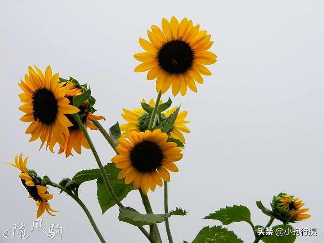 单车骑行无锡,无锡单车骑行路线