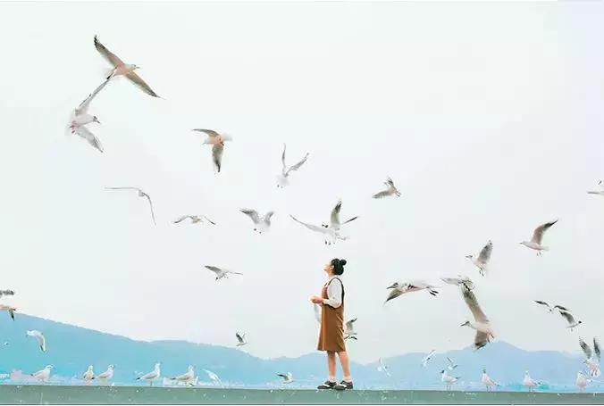 国庆石家庄飞哪里机票便宜,现在石家庄飞哪里机票便宜