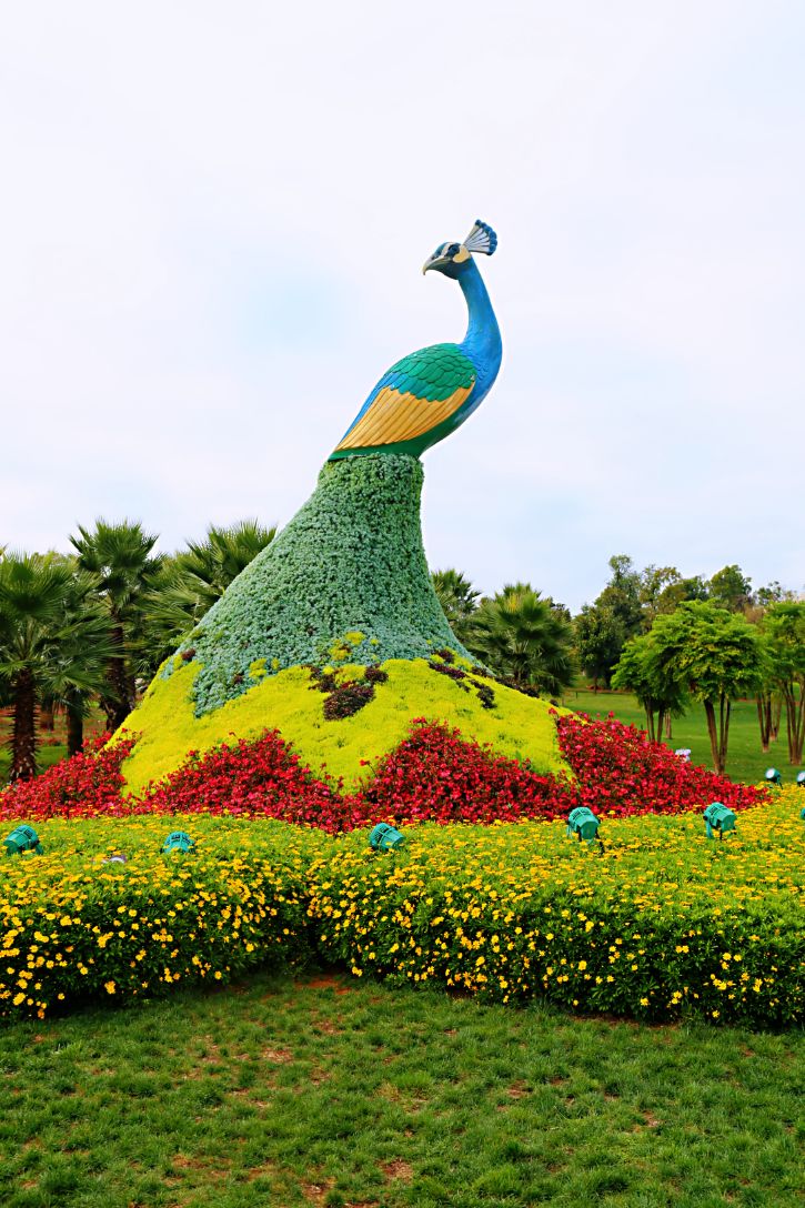 弥勒太平湖森林木屋酒店团购直播,弥勒太平湖森林木屋酒店有温泉