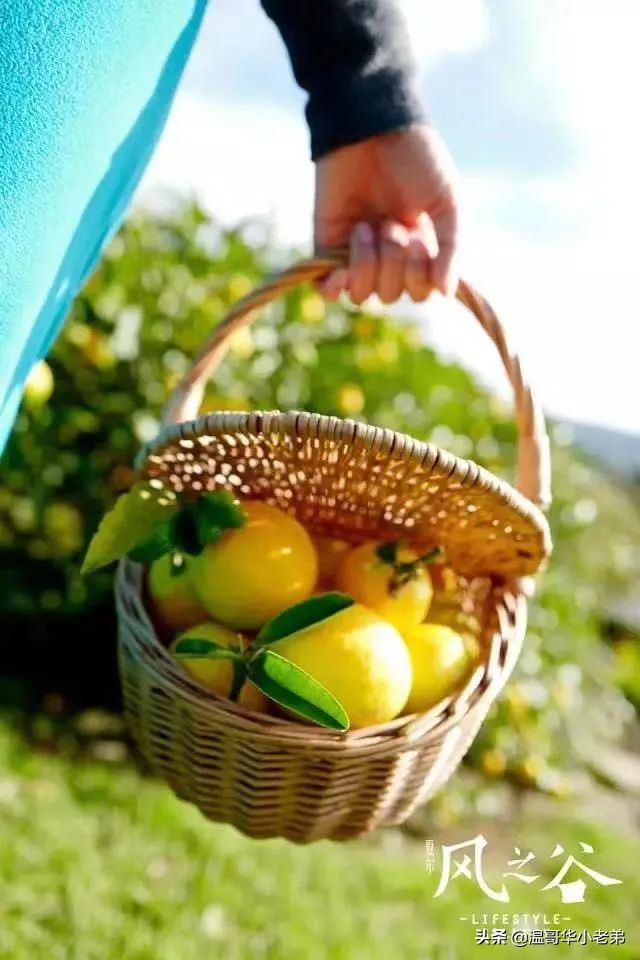 十几年的夫妻感悟,十年的老华人含泪感悟