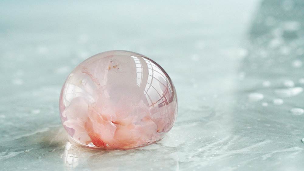 日本樱花果冻叫什么名字,颜值爆表的樱花慕斯