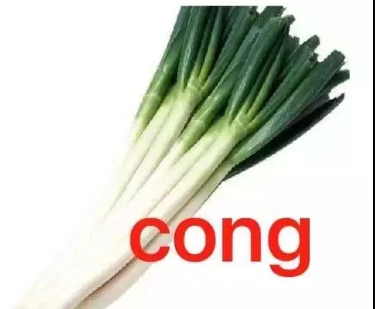 留学生必备黑话,留学最全日常用语