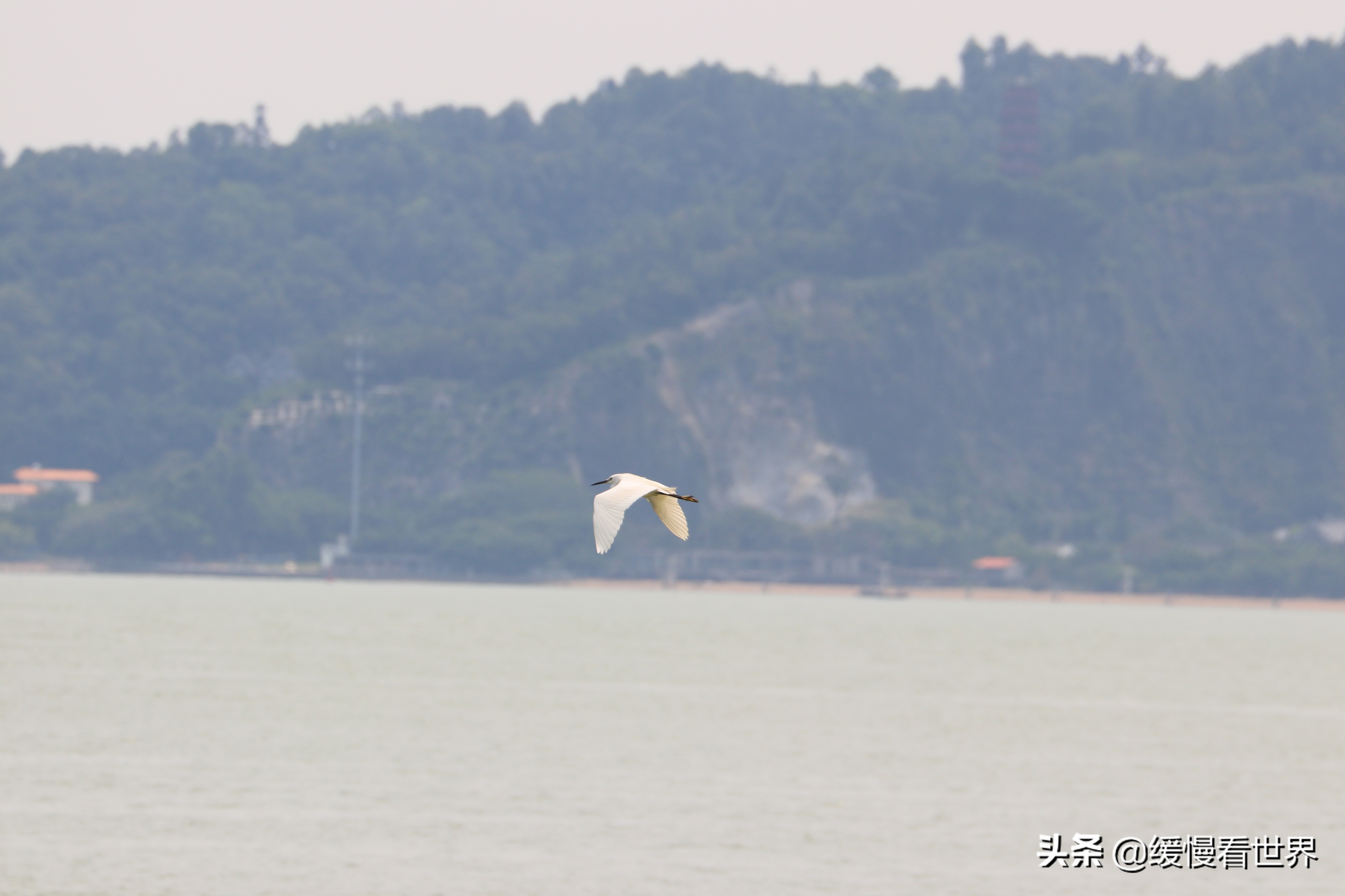 虎门威远炮台海战博物馆,虎门海战博物馆离威远炮台远吗