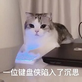 新华联集团500强,新华联集团前景怎么样