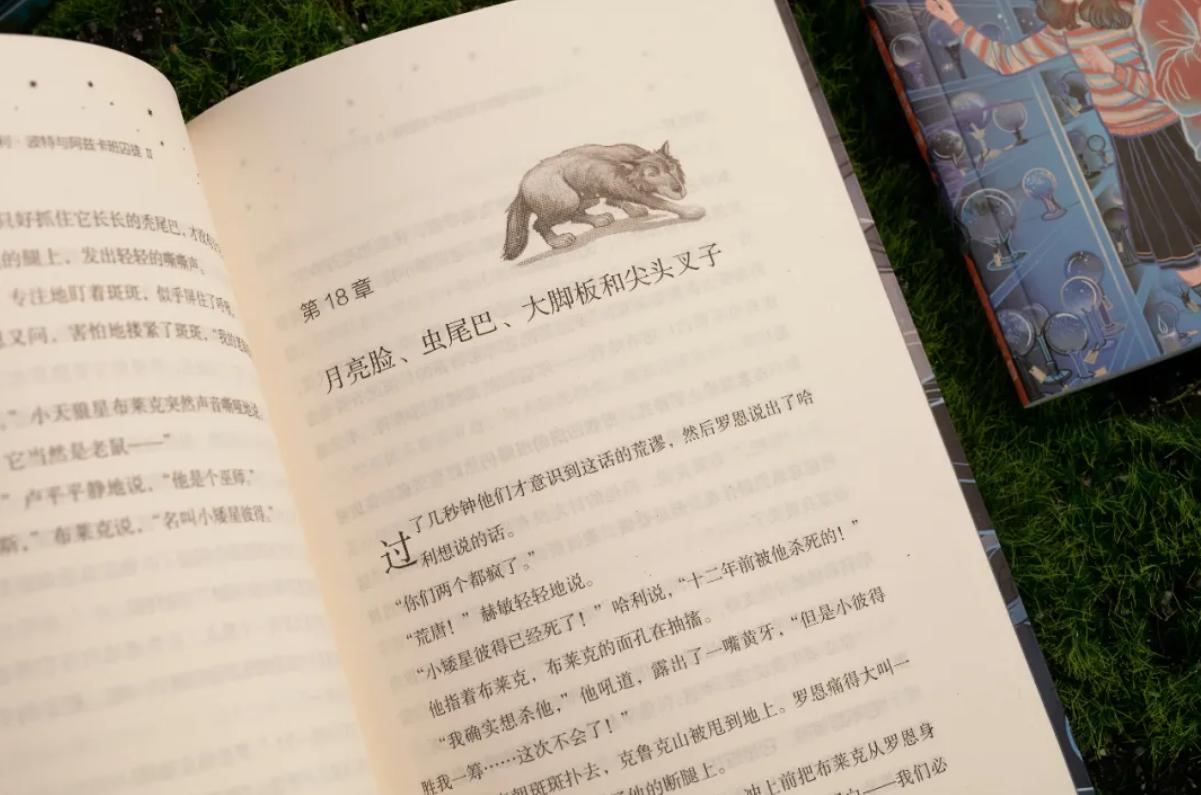 哈利波特20周年纪念版和典藏版,哈利波特20周年讲的是什么内容