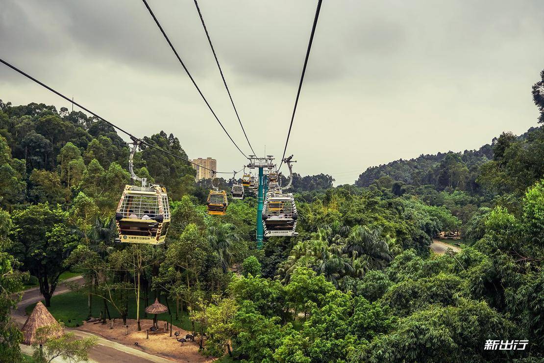 打卡长隆动物园记田妈和威马EX5520的周末