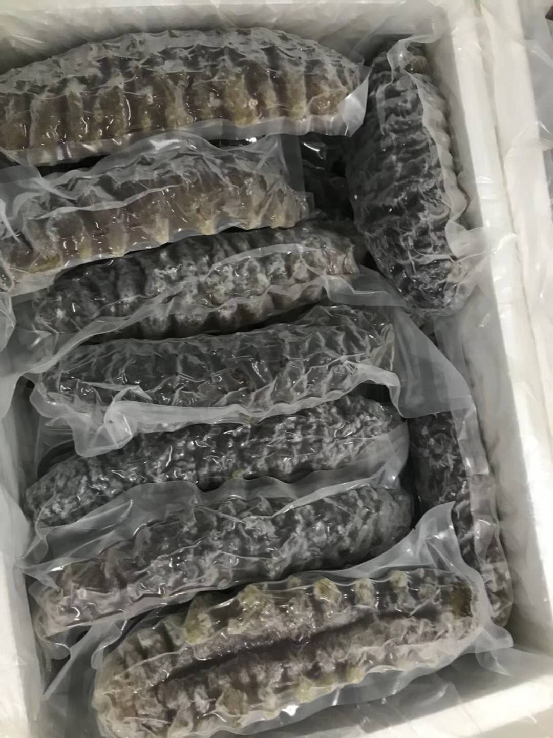 海参出自哪里,海参济南历城