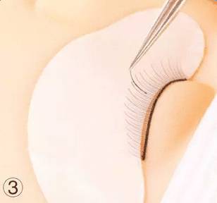 嫁接睫毛技术进行中,m型嫁接睫毛教程零基础手法