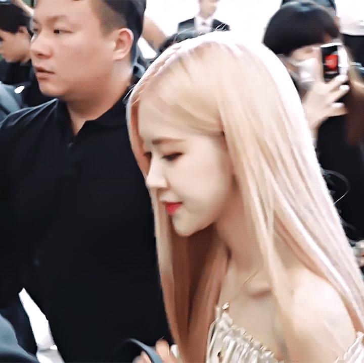 澳洲野玫瑰怎么来的,澳洲野玫瑰蓝玫瑰