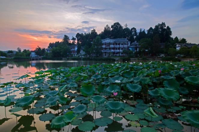 遵义最美乡村旅游图,遵义周边乡村旅游的地方