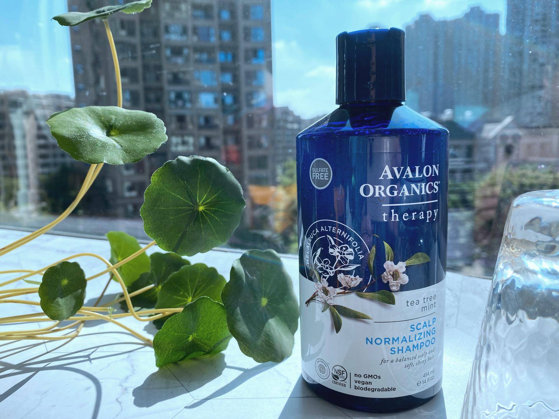 如何正确挑选适合自己的洗发水,如何选择一款正确的洗发水