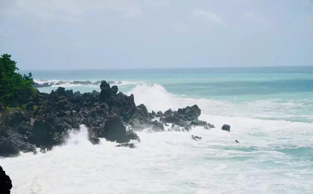 体验师木槿昔年和一群美丽的小姐姐们济州岛之旅