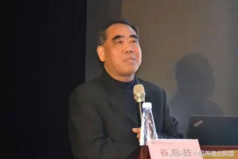 国魂正确养殖方法,金鱼正确养殖方法