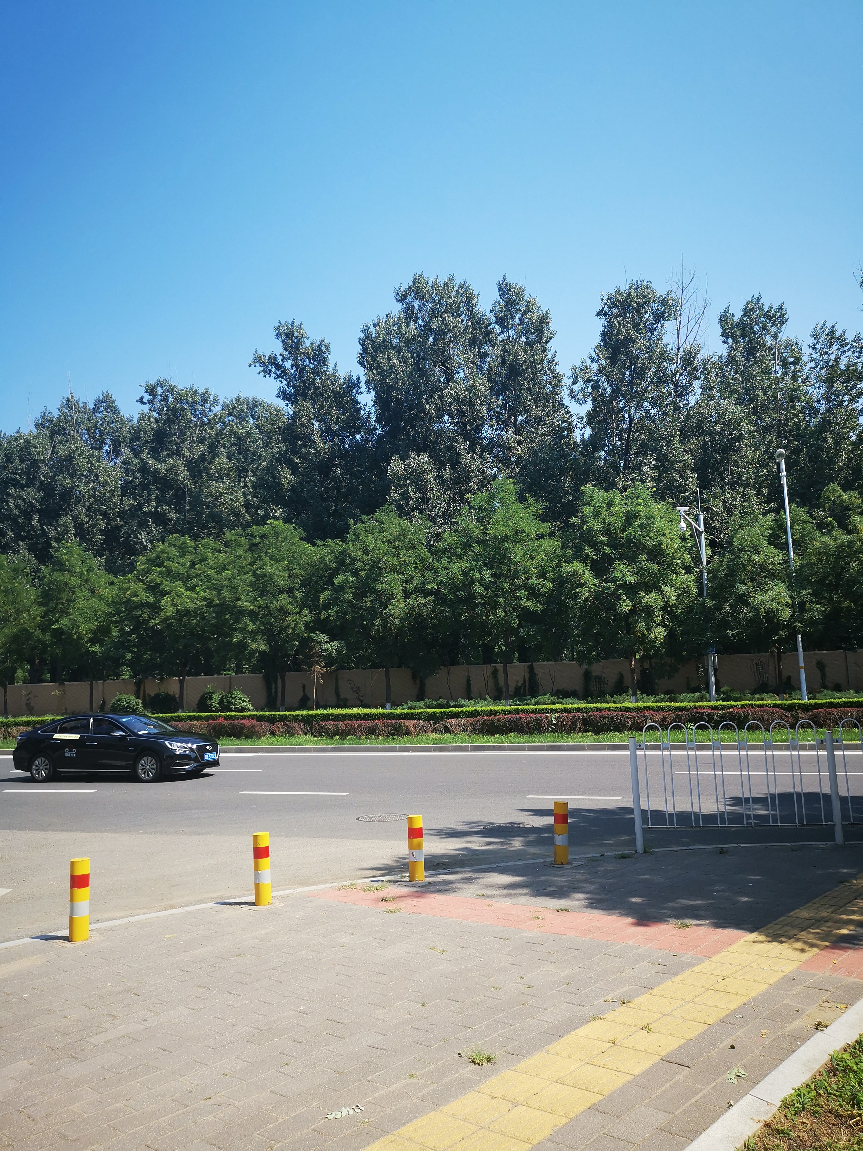 如何使民不为盗?要爱民利民,还要"使民无知无欲",对吗?