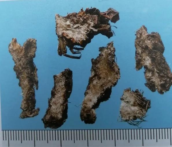 止血收敛的药有哪些,收敛止血中成药有哪些