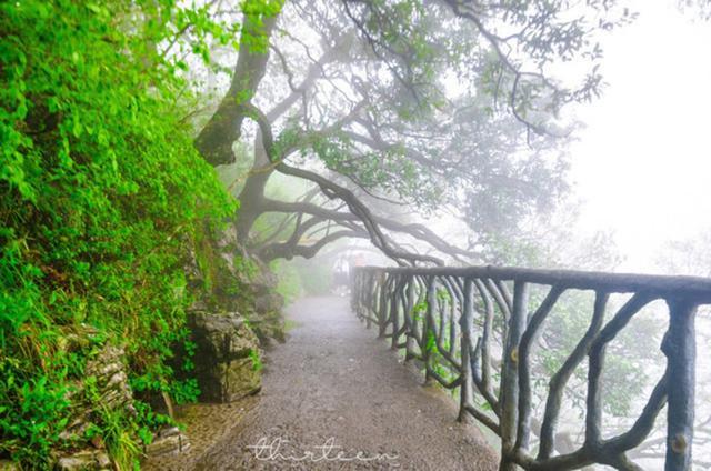 天门山森林公园和张家界森林公园,张家界天门山一日游最佳路线