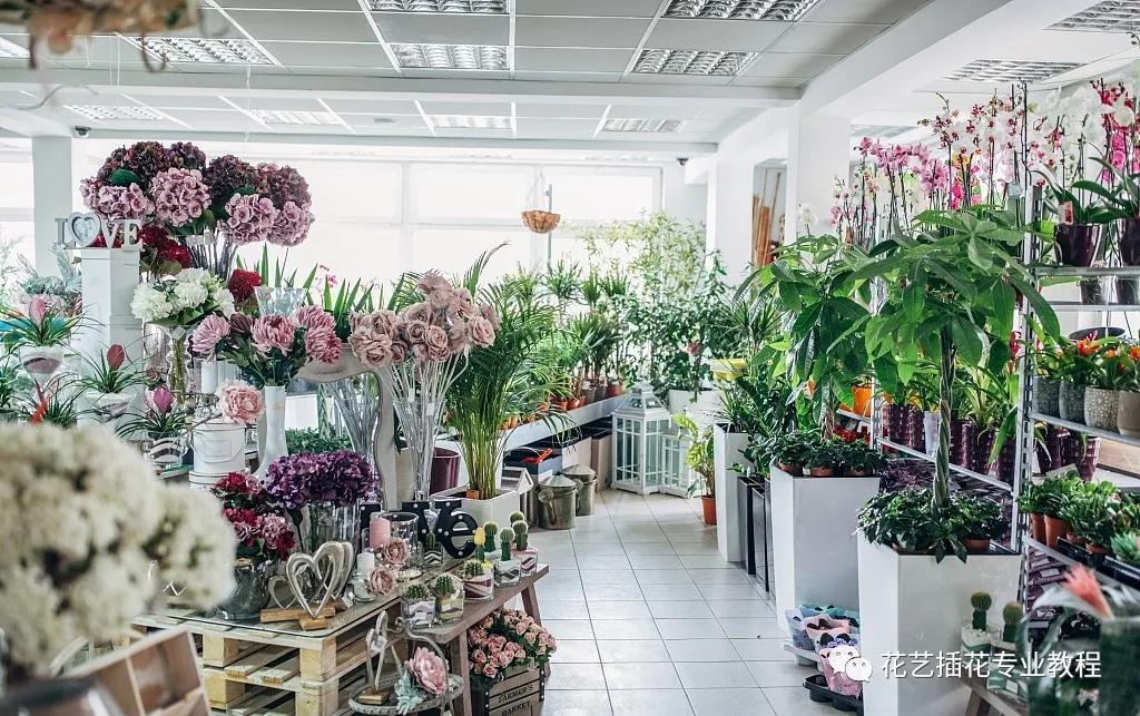 花店店铺装修陈列,花店装修店面步骤和流程