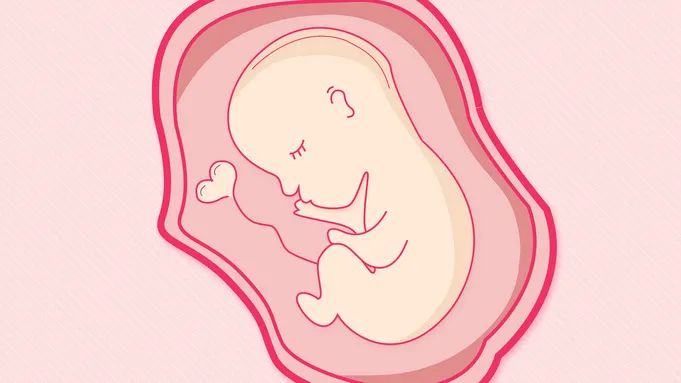 糟蹋子宫的四个坏习惯,糟蹋子宫的几个坏习惯