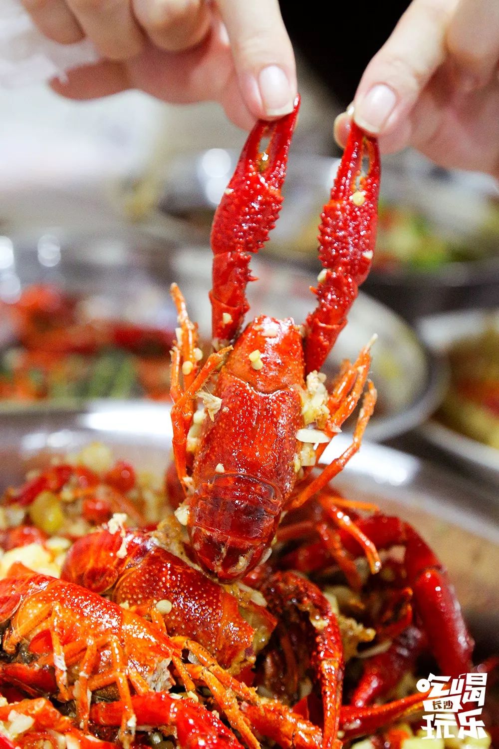 长沙轨道3号线沿线游玩攻略,长沙地铁省钱攻略