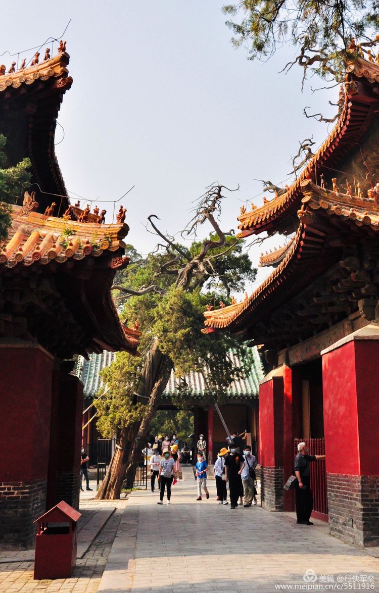 曲阜孔庙走马观花,曲阜孔庙朝圣