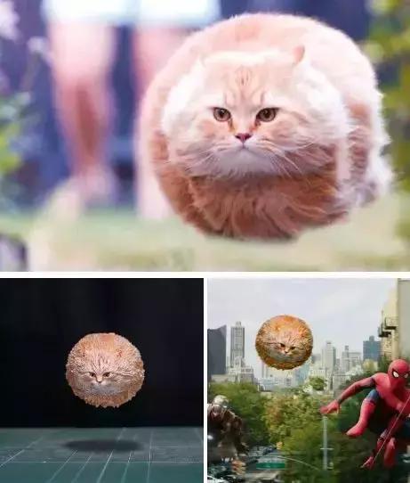 猫和老鼠汤姆沙雕手办,蜘蛛侠沙雕手办搞笑视频