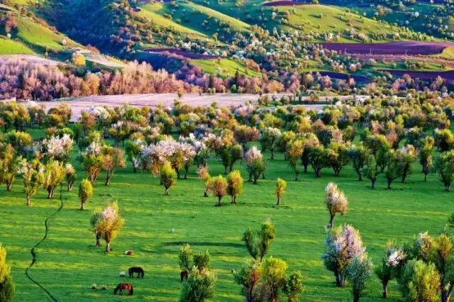 国家认证！*疆新**又一城市成为“中国天然氧吧”，大自然“空调房”就在……