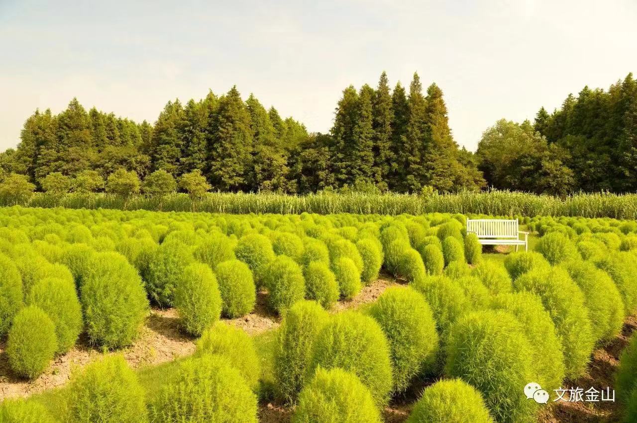 月光族如何旅行,月光族需要进行什么规划