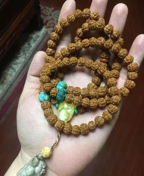 金刚贵贱区别,金刚菩提多久能红