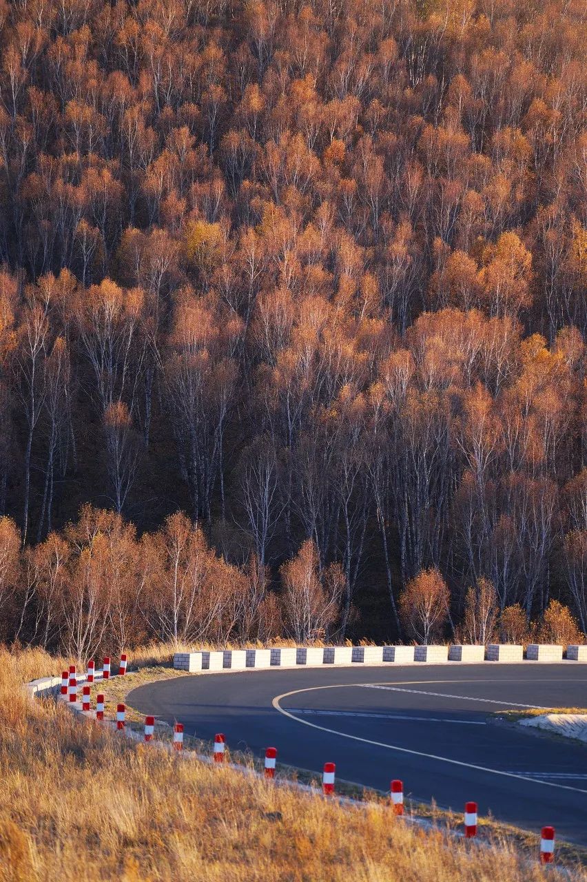 北京周边美丽的地方,初秋北京周边适合去的景点推荐
