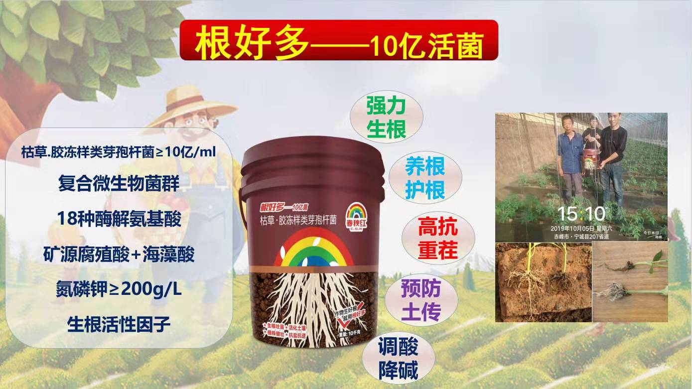 如何防止作物遇到肥害,作物发生肥害怎么补救