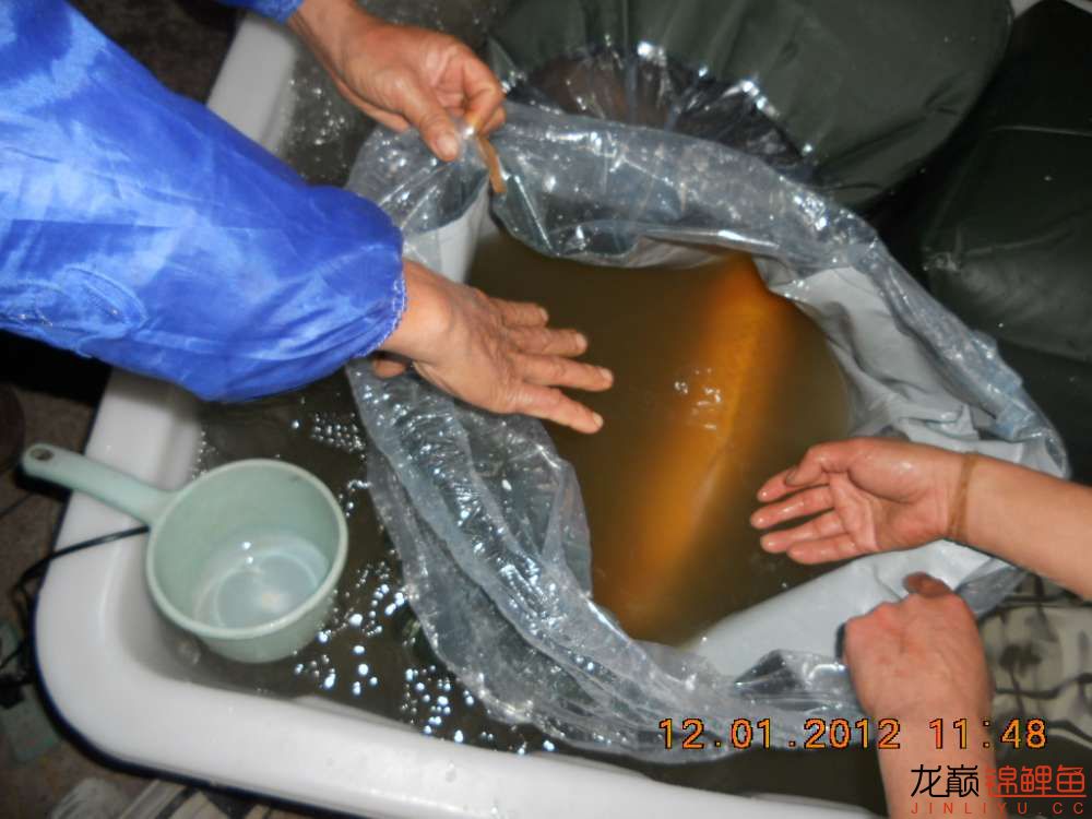 开渔场赚钱吗,开渔场需要多少资金