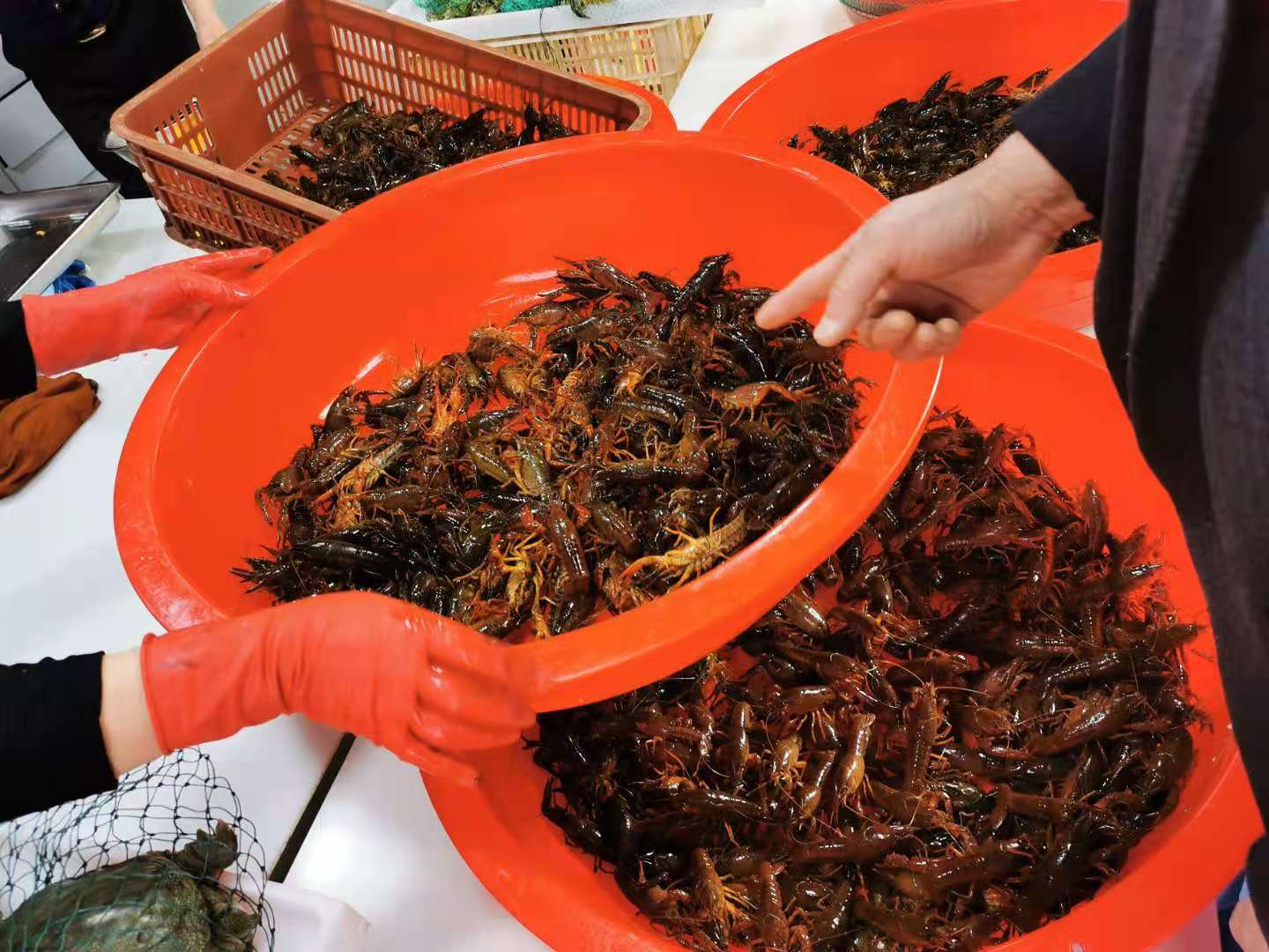 小龙虾怎样煮肉质入味不散,小龙虾怎么煮肉质q弹入味