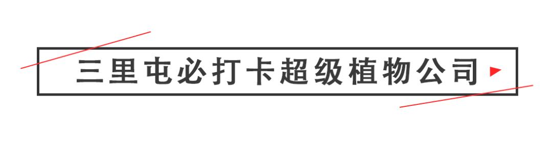 淮海路顶流出片地!21岁、重新回归的「上海广场」好好拍哦