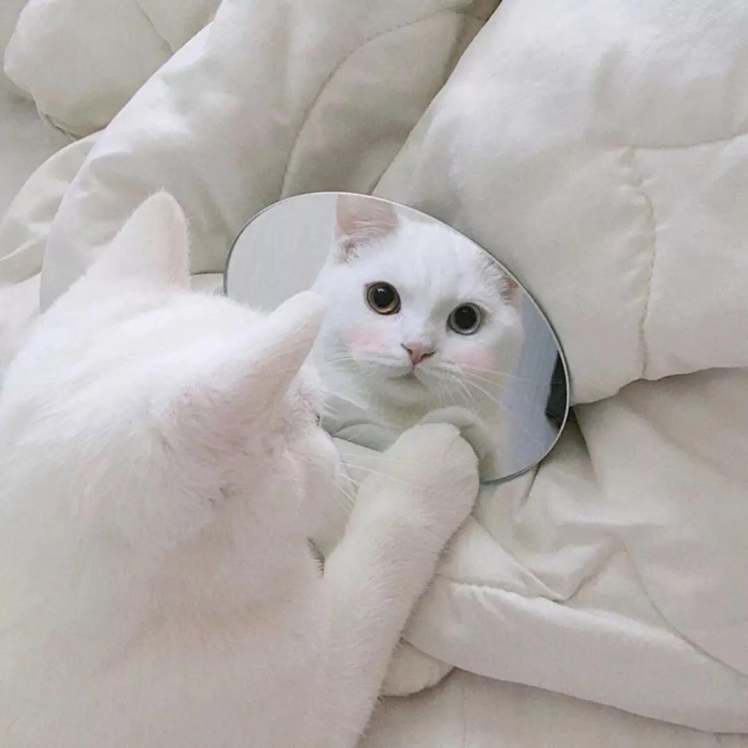 好看珍藏的头像,100张好看不常见的微信头像