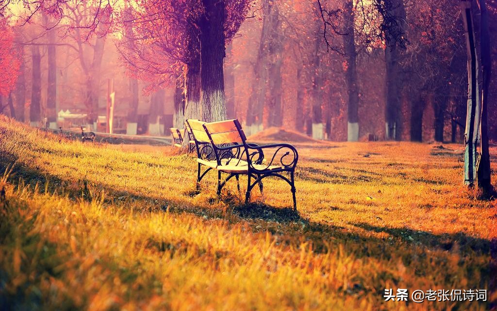 纳兰性德最出名十首诗词,纳兰性德诗词最全版解析